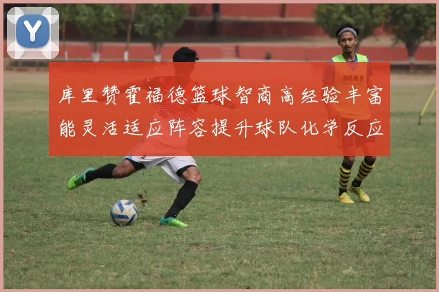 库里赞霍福德篮球智商高经验丰富能灵活适应阵容提升球队化学反应