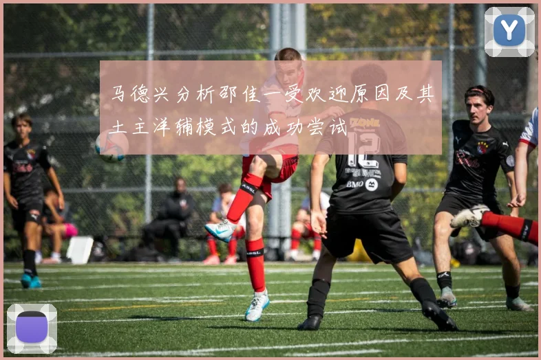 马德兴分析邵佳一受欢迎原因及其土主洋辅模式的成功尝试