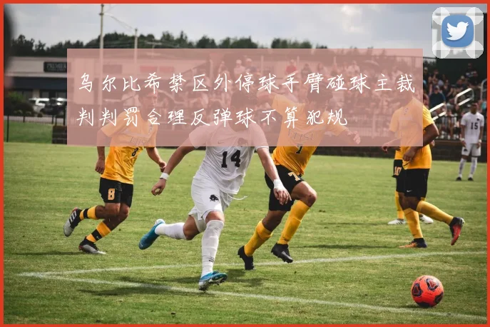 乌尔比希禁区外停球手臂碰球主裁判判罚合理反弹球不算犯规