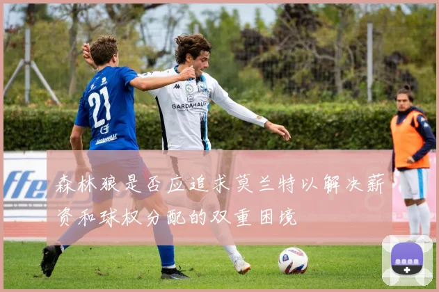 森林狼是否应追求莫兰特以解决薪资和球权分配的双重困境