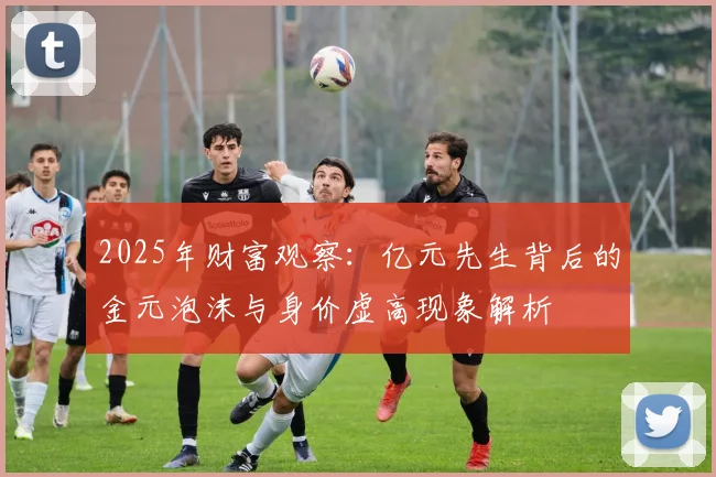 2025年财富观察：亿元先生背后的金元泡沫与身价虚高现象解析