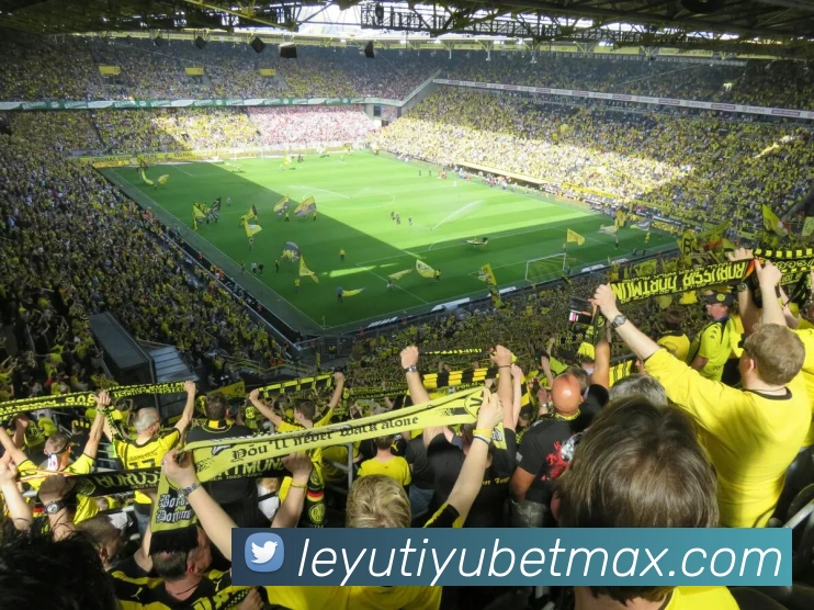 乐鱼体育APP 高清赛事图