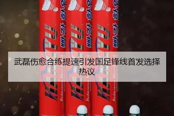 武磊伤愈合练提速引发国足锋线首发选择热议（Leyu）